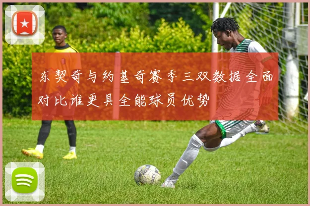 东契奇与约基奇赛季三双数据全面对比谁更具全能球员优势